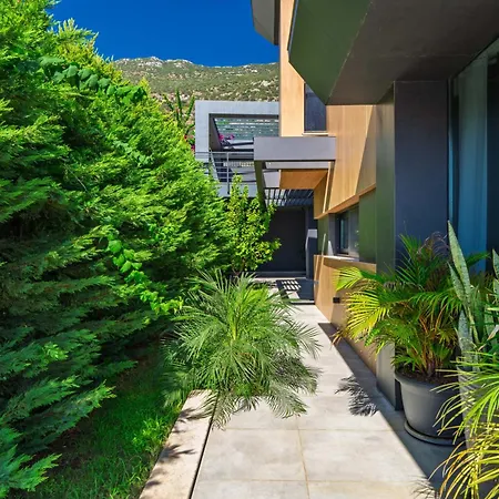 The M Villa *